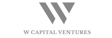 w capital logo